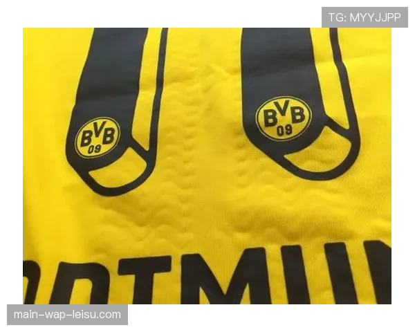 彪马成为又一家与德甲达成长期装备合作伙伴关系的品牌