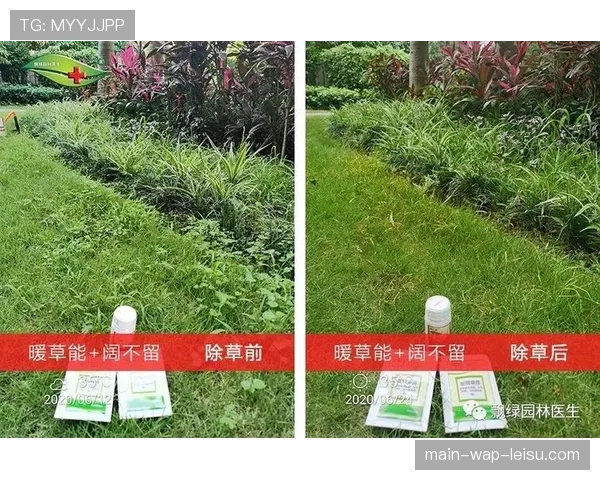 多家意甲俱乐部与高校合作,研究极端天气下草坪养护与比赛条件保障技术